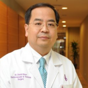 Dr. David Khoo Sin Keat